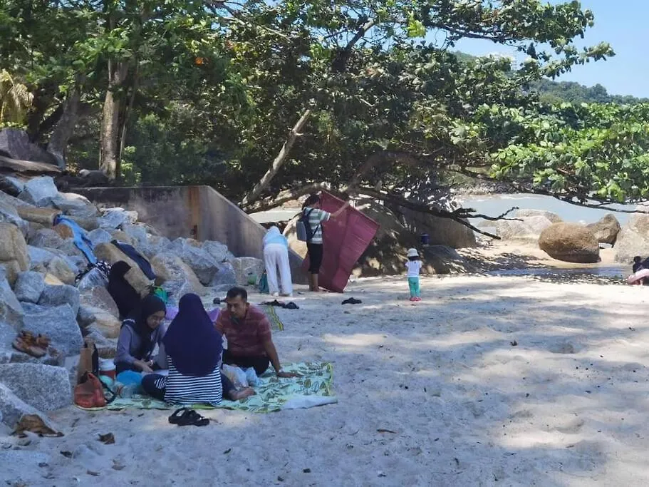 Miami Green Paradise Seaview Batu Ferringhi